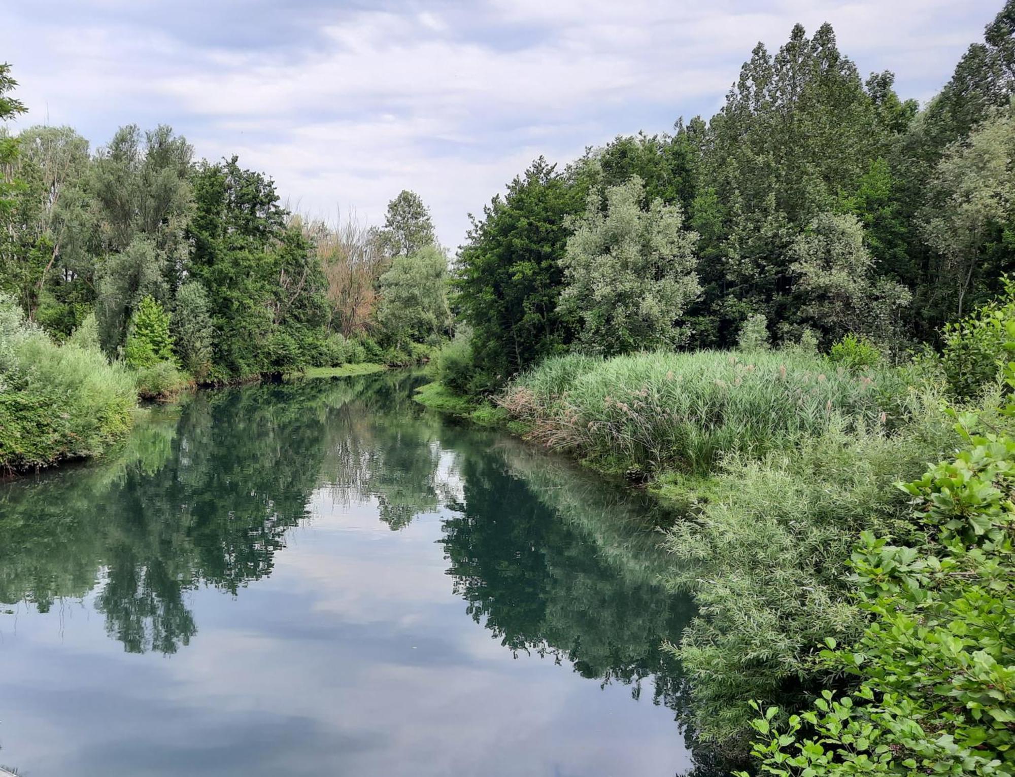 Siore Marie Gli Alloggi San Giórgio di Nogaro Extérieur photo